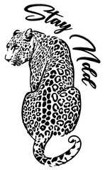 leopardo blanco y negro de espaldas mirando fijamente