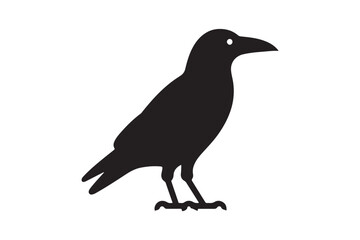 Crow vector silhouette artwork 