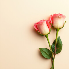 Fototapeta premium Two pink roses with green stems and leaves on beige background