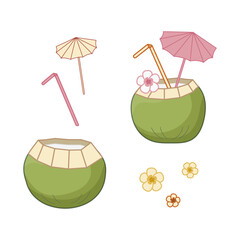 Enjoying tropical green coconut drink with pink umbrella, tropical flowers and straw. Isolated vector illustration cocktail details.