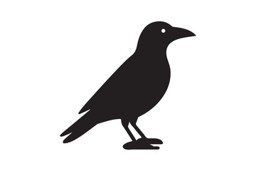Crow vector silhouette artwork 