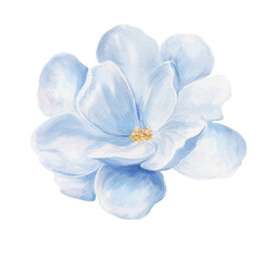 Beautiful Flower Clipart Vector Illustration - Floral Design for Graphics