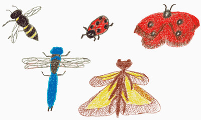 set of insects