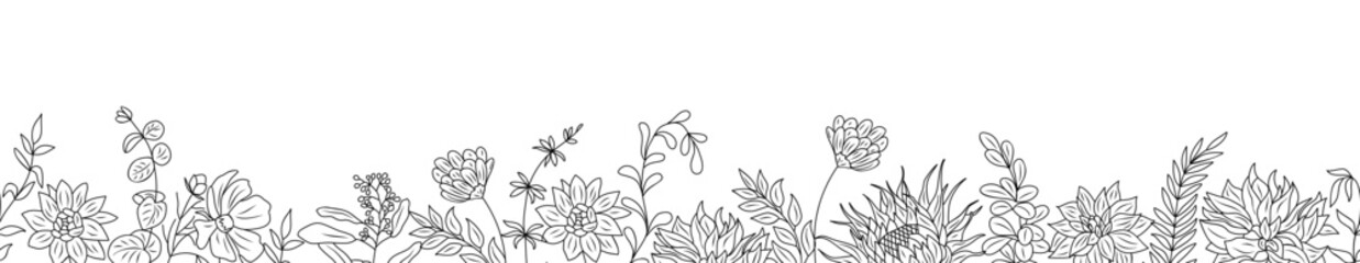 Autumn flowers and herbs border. Horizontal seamless banner, floral overlay backdrop. Botanical monochrome ink sketch style hand drawn vector illustration isolated