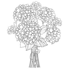 Bouquet with outline Hydrangea or Hortensia flowers and leaves in black isolated on white background. 