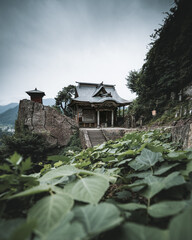 Naklejka premium temple in the mountains