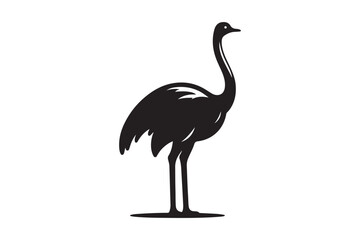 Obraz premium Minimal ostrich bird vector silhouette 