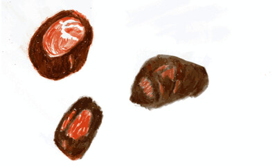 Chestnuts - colored pencil - hand drawn