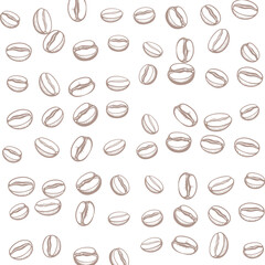 A seamless pattern featuring hand-drawn coffee beans against a white background.