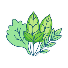 fresh herbs vector icon, fresh herbs vector illustration - simple illustration of fresh herbs, perfect for logos and icons fresh herbs