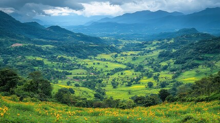 Obraz premium Panoramic view of lush green valley with yellow wildflowers in foreground, mountains in background under cloudy sky.