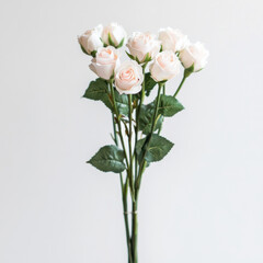 beautiful bouquet of pink and white roses with green leaves, perfect for decoration or gifting. delicate petals and fresh appearance evoke feelings of love and elegance