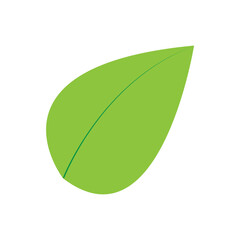 leaf icon design vector ilustration