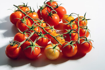 Fresh Red and Yellow Cherry Tomatoes on Vine Isolated on White Background