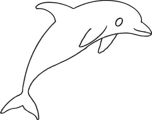 dolphin