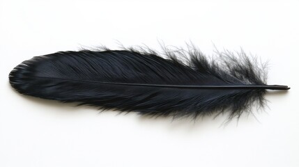 Obraz premium Black Feather with Delicate Texture and Vibrant Colors on White Background