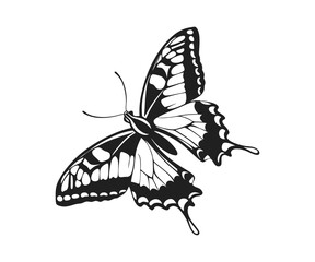 Black Swallowtail butterfly silhouette vector illustrations on a white background.