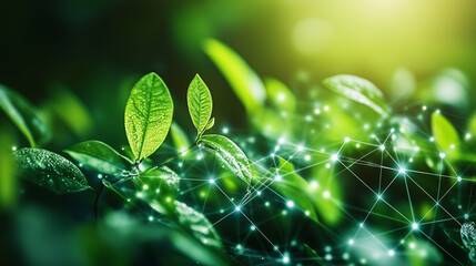 green leaf with dew drops, ESG concept, environment society and governance, energy of natural gas sustainable and ethical business