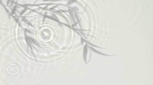 rain drop circles on transparent water surface from above with bamboo leaf shadow, beautiful abstract overlay decoration, gray motion design element template 