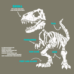 Esqueleto de dinosaurio con sus partes © dan