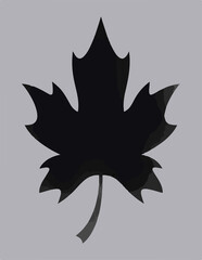 illustration of a leaf