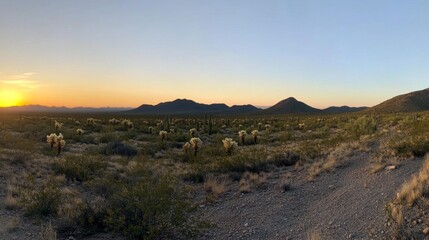 Desert Sunset Landscape with Mountains and Cacti