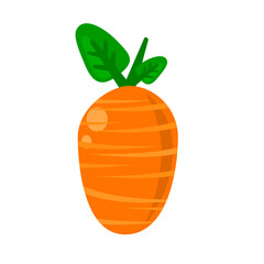 Fresh carrot vector illustration. Flat style design. Suitable for healthy snacks and vegetable nutrition element content