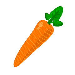 Fresh carrot vector illustration. Flat style design. Suitable for healthy snacks and vegetable nutrition element content