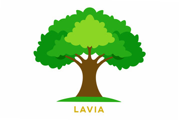 Obraz premium tree with leaves