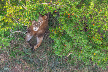 There Goes Breakfast