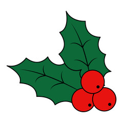Christmas Holly Berries Illustration