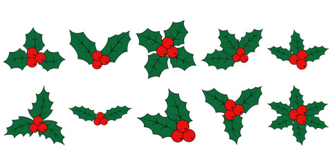 Christmas Holly Berries Illustration