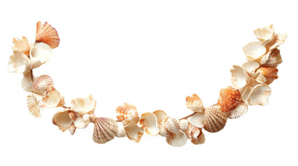 Obraz premium Sea shell transparent background