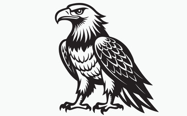 Eagle silhouette black