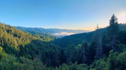 Obraz premium Majestic Mountain Valley Scenery