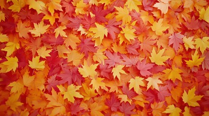 Colorful Autumn Leaves Background