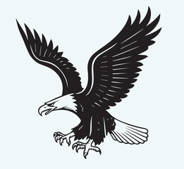 Obraz premium Eagle black silhouette art