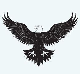 Obraz premium Eagle black silhouette art