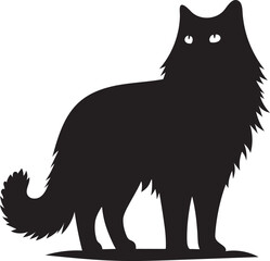 black cat illustration