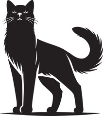 black cat cartoon