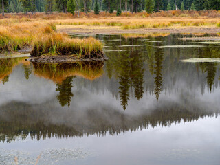 Fogy mountain reflection of forest in Idaho