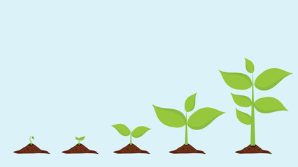 Illustration vector graphic of shoots grow from the ground into a tall and large plant. Perfect for plant  agricultural industry