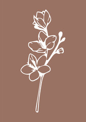 colors print for design on the background of Mocha Mousse color - color of the year 2025 according to Pantone
