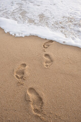 Foot prints on the sand at the beach. Footprints in wet sand in a line towards the beach from a sea