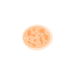 anaplasma illustration 