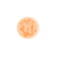 anaplasma illustration 