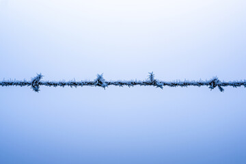Winter scene background during blue hour with freezing temperature - Metal barbed wire fencing is frozen with frost and ice covering the metal shape. Isolated against foggy misty background.
