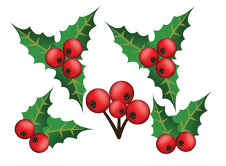 Holly berry leaves Christmas decoration isolated on white background