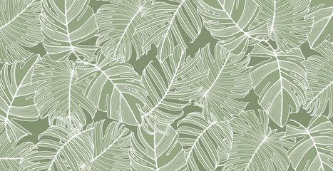 Green tropical design with monstera leaves. Vector botanical illustration © Лилия Агапова