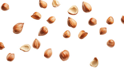 Hazelnut transparent background